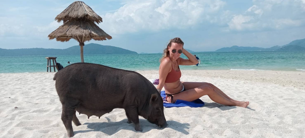 listing card gallery